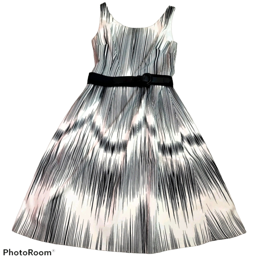 Adrianna Papell Sleeveless Dress in 6
